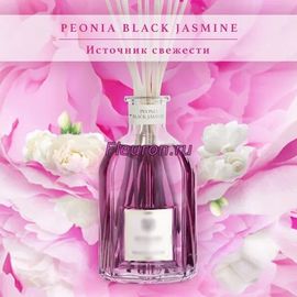 Отдушка по мотиву Peonia Black Jasmine арт1349
