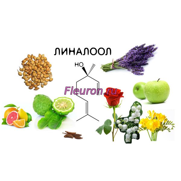 Кликните для увеличения изображения Линалоол- Linalool арт1973