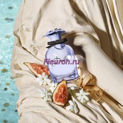 Духи без спирта Dolce Blue Jasmine арт1521W