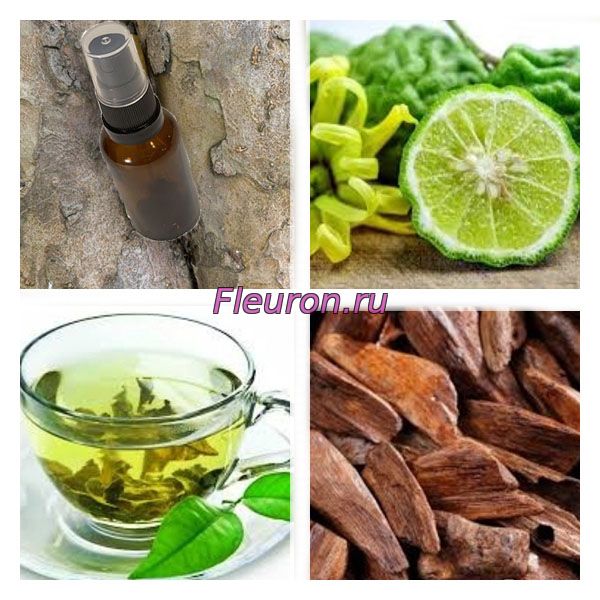 Парфюмерный лосьон Bergamot Green tea Sandalwood арт4028W/M