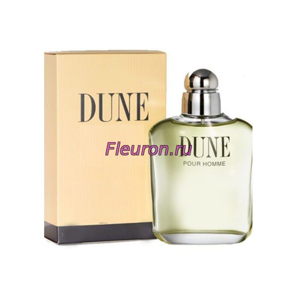 Духи Dune Pour Homme арт502M