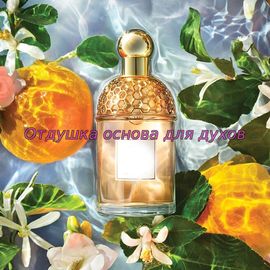 Отдушка/масло по мотиву Aqua Allegoria Orange Soleia (Guerlain) 3003W/M