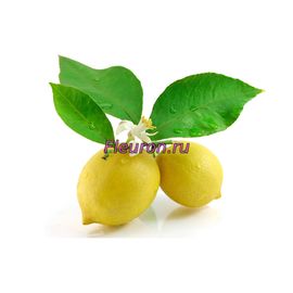 Отдушка Лимон с легкой горечью листьев арт3411