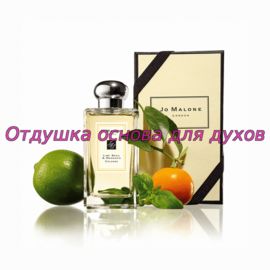 Отдушка Lime Basil and Mandarine арт494W/M