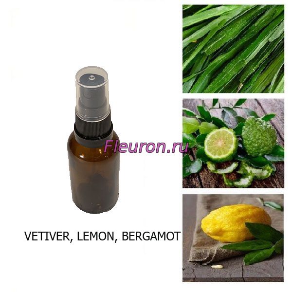 Кликните для увеличения изображения Духи Vetiver Lemon Bergamot арт273W/M