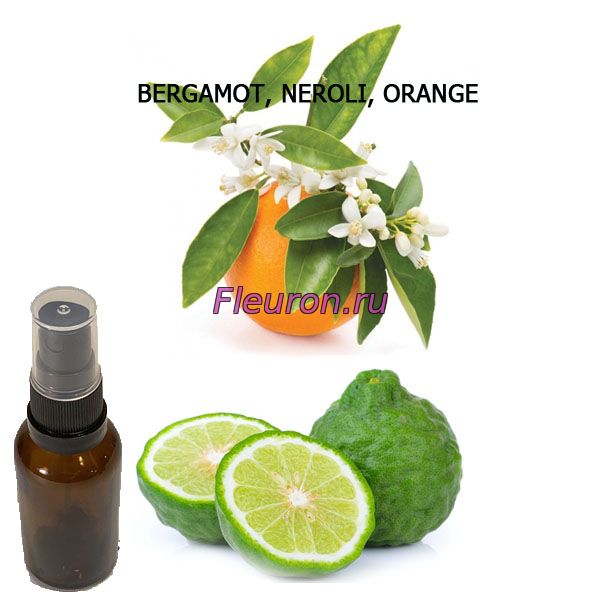 Кликните для увеличения изображения Духи Bergamot Neroli Orange арт272W/M