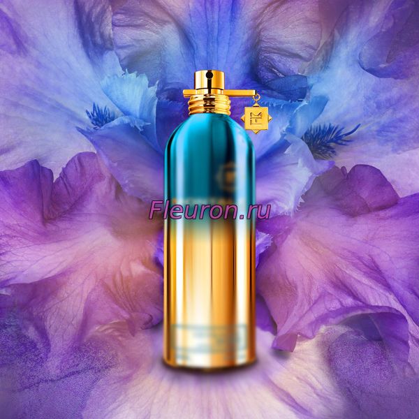 Кликните для увеличения изображения Духи So Iris Intense арт301W/M