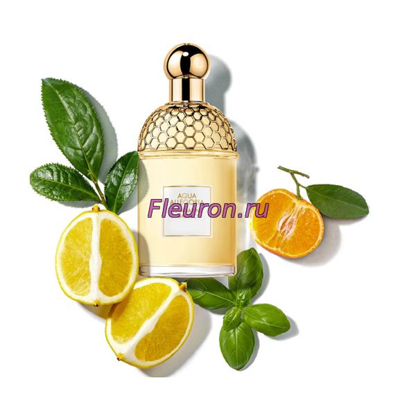 Кликните для увеличения изображения Отдушка Aqua Allegoria Mandarine Basilic арт5490W