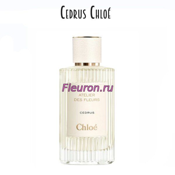 Духи без спирта Atelier Des Fleurs Cedrus арт5503W/M