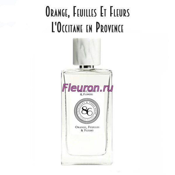 Духи без спирта Orange, Feuilles Et Fleurs арт5519W/M
