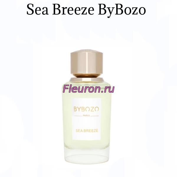 Духи без спирта Sea Breeze арт5666W/M