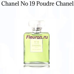 Духи без спирта No19 Poudre арт5672W