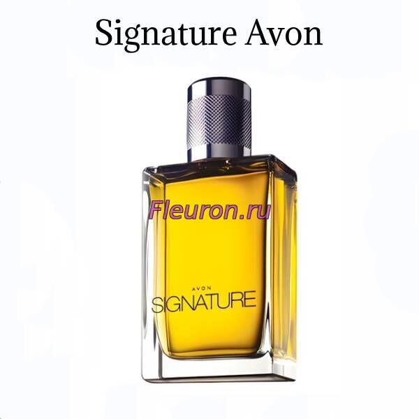 Духи без спирта Signature арт5782M