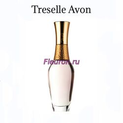 Духи без спирта Treselle арт5803W