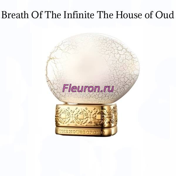 Духи Breath Of The Infinite арт5818W/M