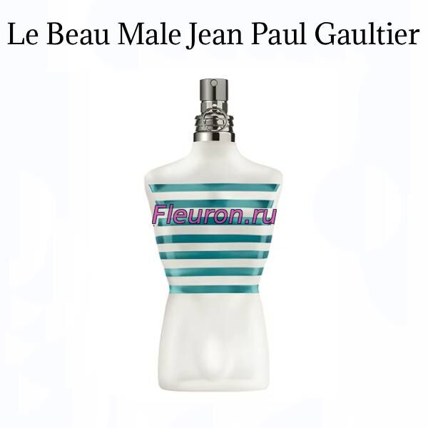 Духи без спирта Le Beau Male арт5836M