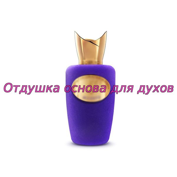 Отдушка/масло по мотиву Accento (Sospiro Perfumes) 617W/M
