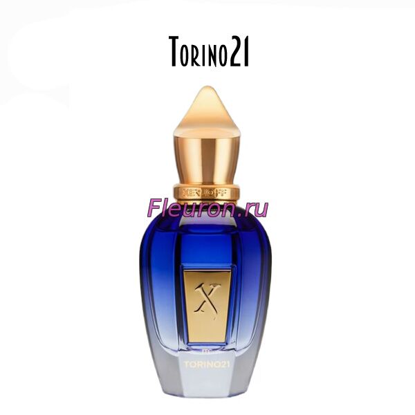 Духи Torino21 арт6104W/M