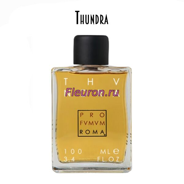 Отдушка Thundra арт6238W/M
