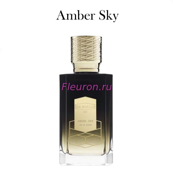 Духи без спирта Amber Sky арт6301W/M